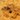 Cerceris des sables_entrée terrier_site.jpg