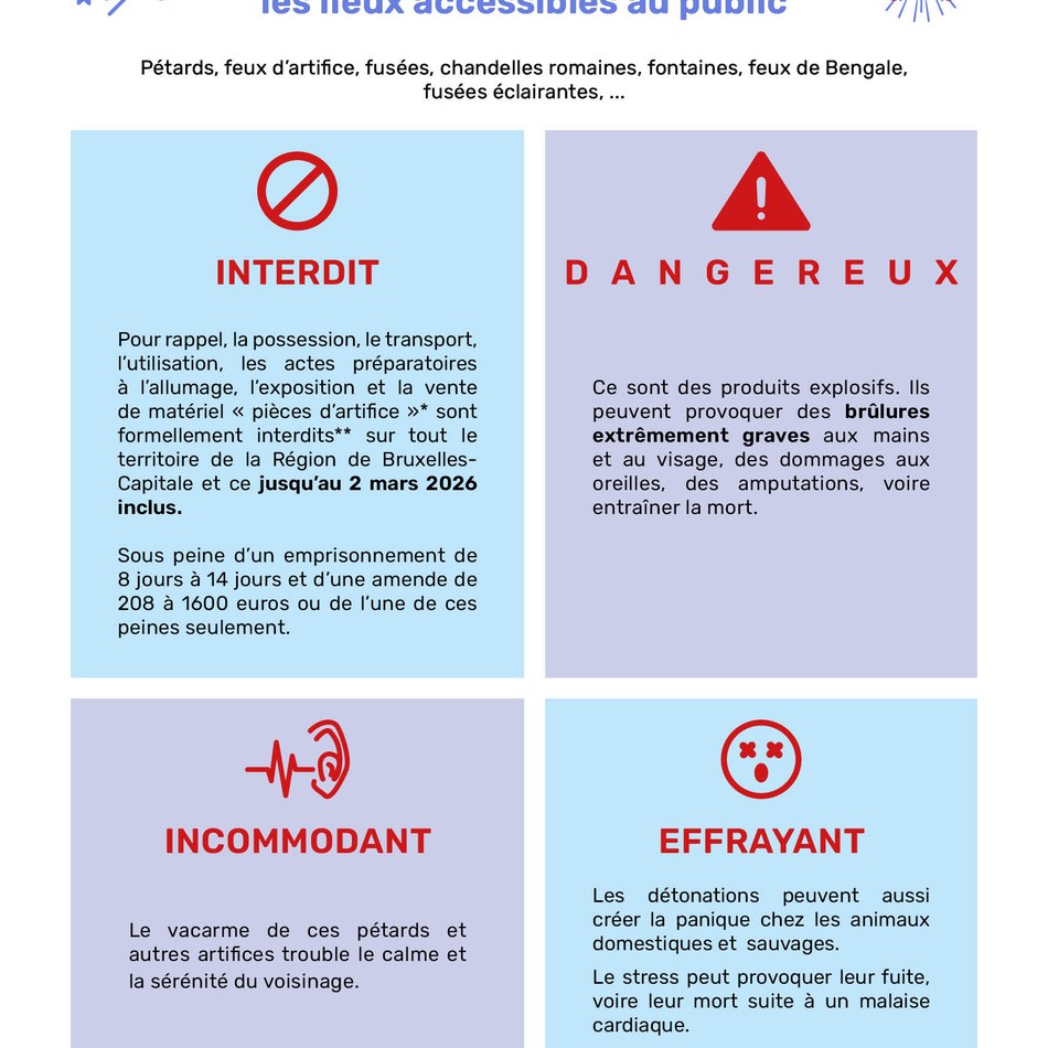 Visuel feux d'artifice_2025.jpg