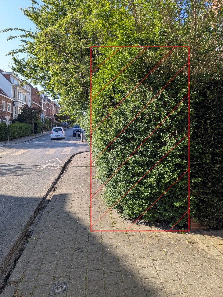 Haie_Trottoir_site.jpg