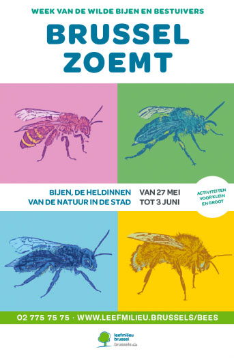 bxlbourdonnenl