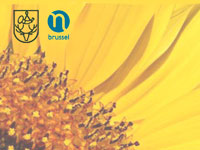 feestvlaamsegemeenschap150