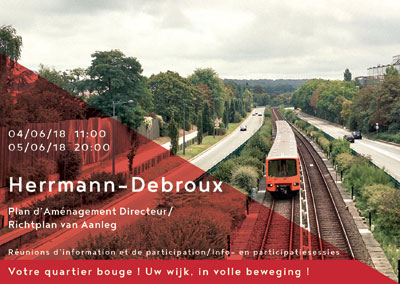hermanndebrouxsite